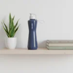 Shiny Gray Sport 750mL Cam Matara